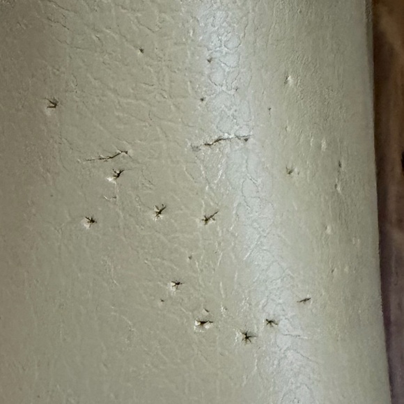 Crocs Beige Slip-On Platform Clogs, Some Wear, Size 10 - Picture 5 of 10